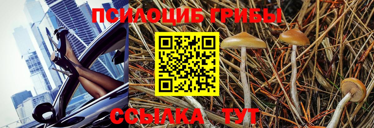 Псилоцибиновые грибы мухоморы Елец