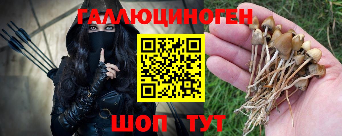 Елец  Галлюциногенные грибы Psilocybe  Псилоцибиновые грибы прущие грибы  Вход с VPN 